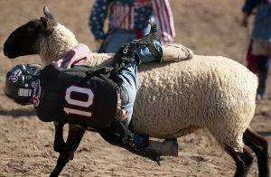 A young man shows off his best Mutton Bustin' form.