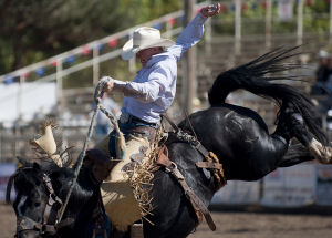 Saddle bronc riding provided plenty of entertainment for the crowd.