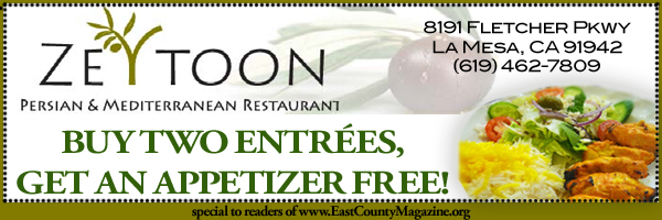 Zeytoon Persian & Mediterranean Restaurant