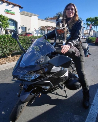 Photo: SJ Miller meets up with Chopper the Biker Dog
