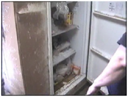 Ashes even blew into the Lytles' refrigerator and other appliances.