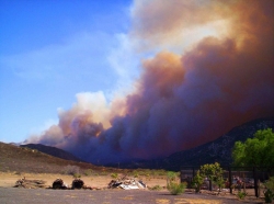 2007 Harris Fire