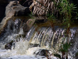Water at Padre Dam in Mission Trails Regional Park