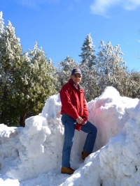 Palomar Mountain is among 70 state parks set to close permanently.