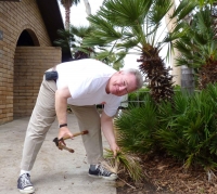 Councilman Ewin prunes a palm tree during annual park clean-up day.