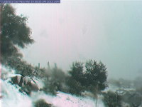 Webcam at Cuyamaca