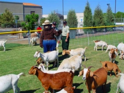 photo by Jeff Harrison