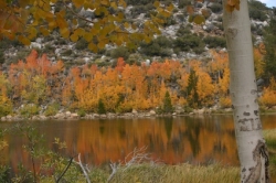 Aspen frame the colorful cliffs near South Lake